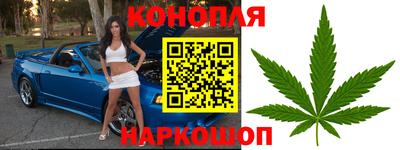 крисы Рыбинск