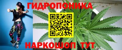 молекула духа Северобайкальск