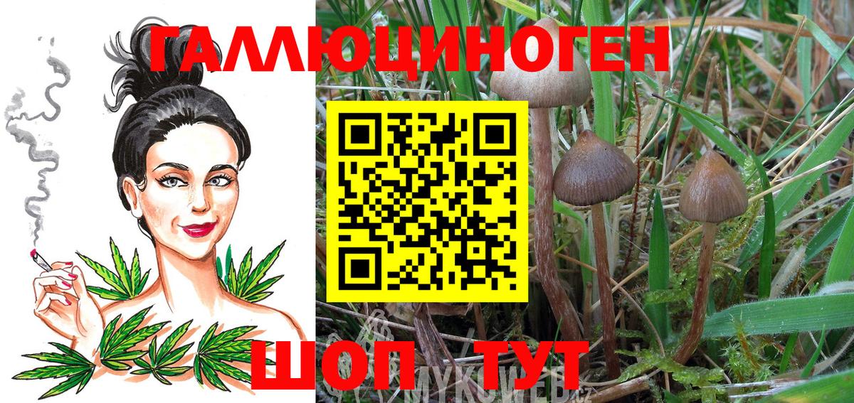 Псилоцибиновые грибы мицелий Углич