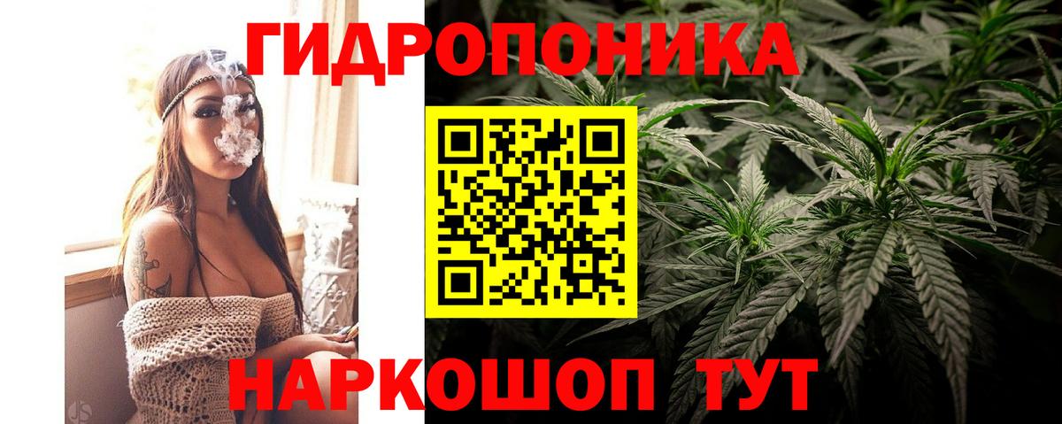 Бошки марихуана SATIVA & INDICA Углич